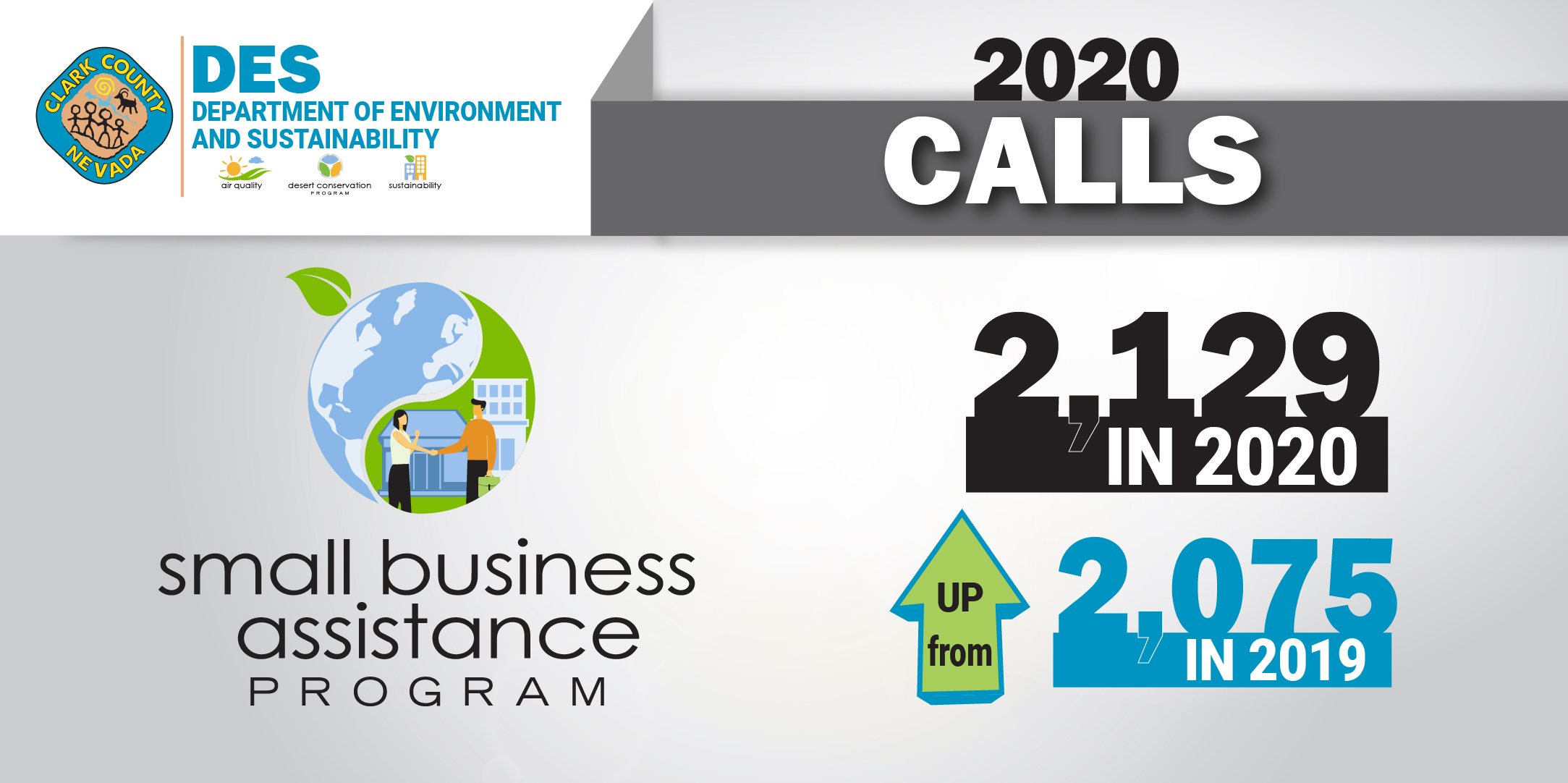 2020 recap infographic social_calls (1)